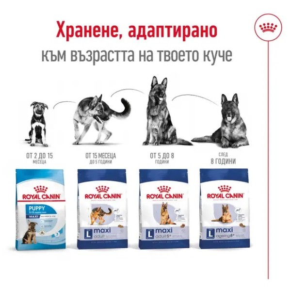 Royal Canin Dog Adult Maxi - Пълноценна суха храна за кучета от едри породи